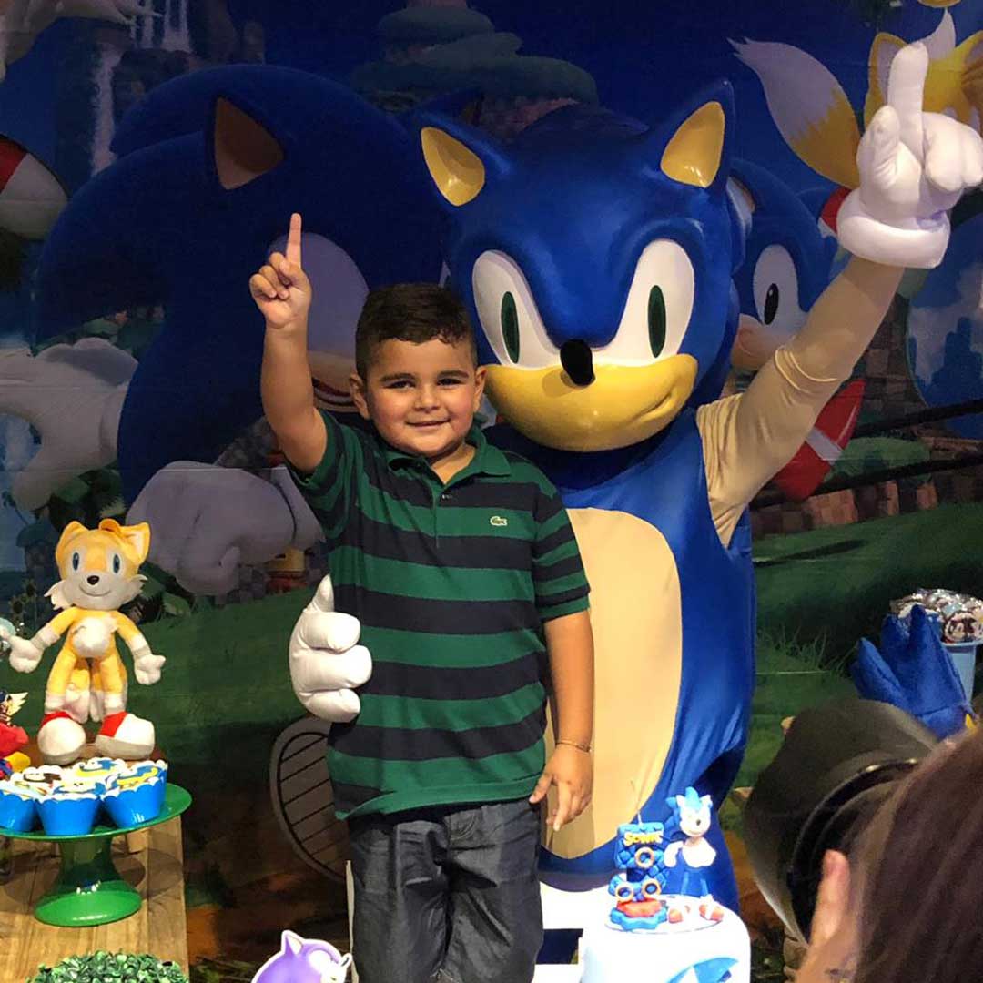 FANTASIA REALISTA PERSONAGEM VIVO - MASCOTE FESTA VENDA SONIC